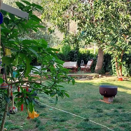 Mavi Pansiyon 2* Cirali