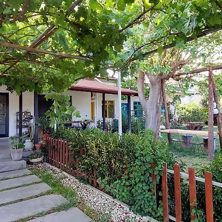 Bed & Breakfast Mavi Pansiyon