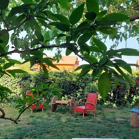 Mavi Pansiyon