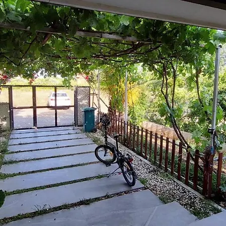Mavi Pansiyon Bed & Breakfast Cirali