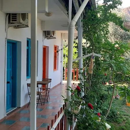 Bed and breakfast Mavi Pansiyon 2*