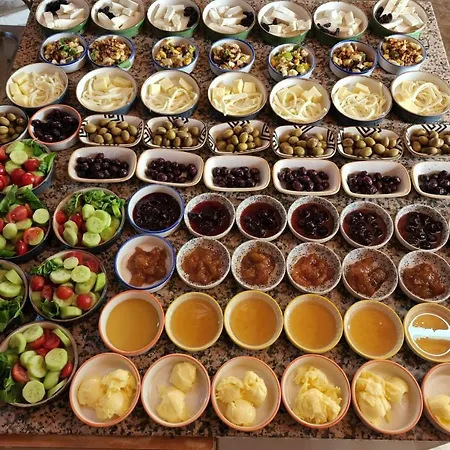 Bed and breakfast Mavi Pansiyon Çıralı