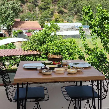 Mavi Pansiyon Çıralı